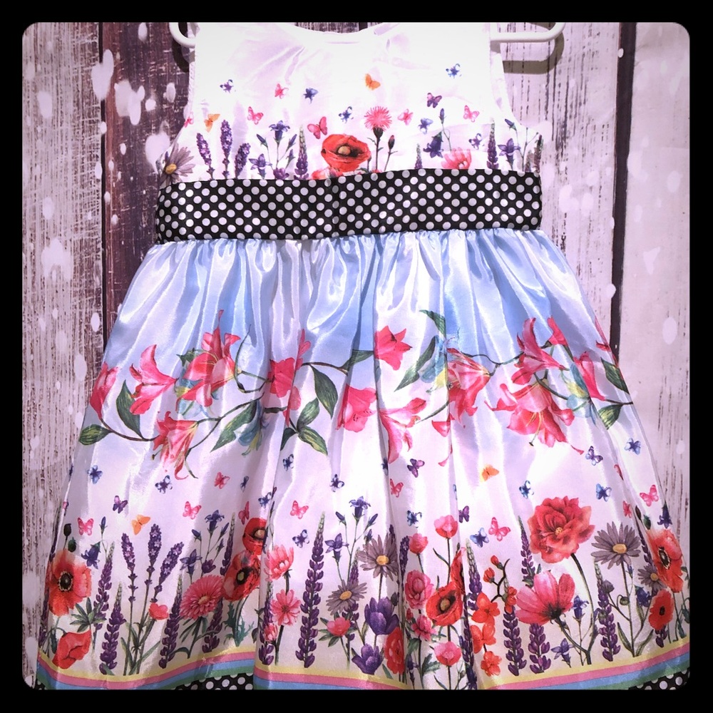Blueberi Boulevard Girl’s Dress Size 4